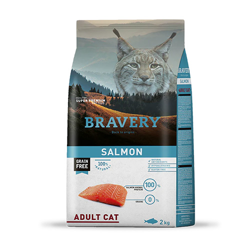BRAVERY CAT ADULT SALMON 2 KG