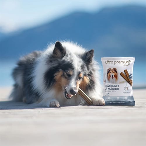 ULTRA PREMIUM BÂTONNETS À MÂCHER L GFREE 220G