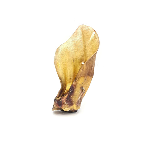 OREILLE DE BOEUF A L'UNITE