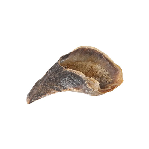 SABOT DE BOEUF X 1