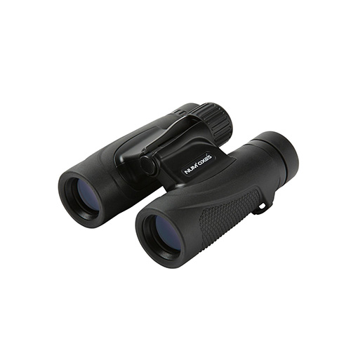 JUMELLES 10X25 JUM1039 NOIRES