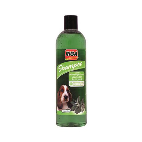 SHAMP.ANTI-DEMANG.CHIEN 500ML
