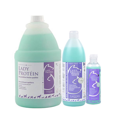 SHAMPOOING LADY PROTEINE 1 LITRE