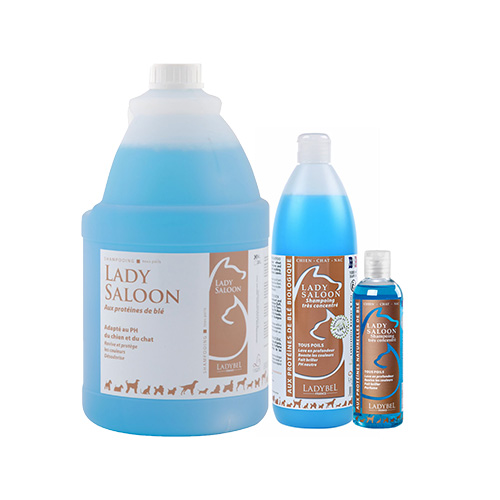 SHAMPOOING LADY SALOON 4 L