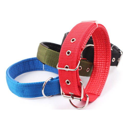 COLLIER CHIEN 2 X 45CM + MOUSSE