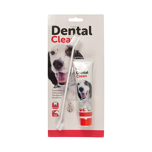 BROSSE A DENT + DENTIFRICE CN