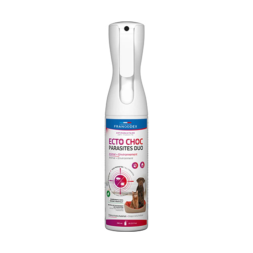 ECTO CHOC BRUM 2EN1 290 ML CHIEN/CHAT